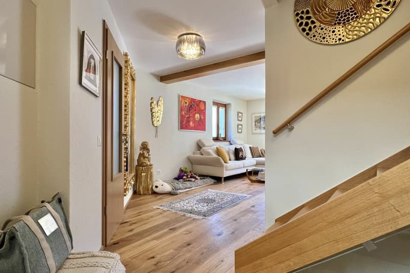 Belle maison unifamiliale dans un endroit ensoleillé avec un grand jardin, vignoble privé et ascenseur (14)