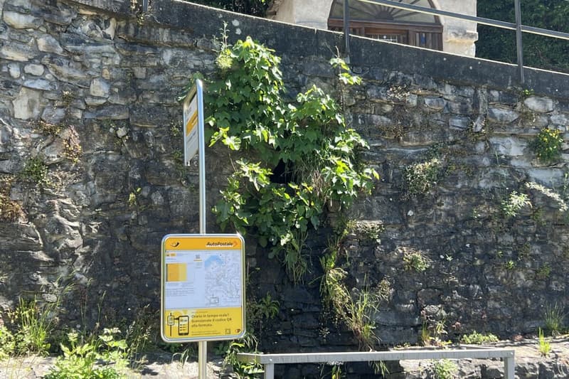 RÊVE DE VIE TESSIN - Charmante maison de village rénovée avec grand atelier idéal pour l'art et la culture et le B&B (78)
