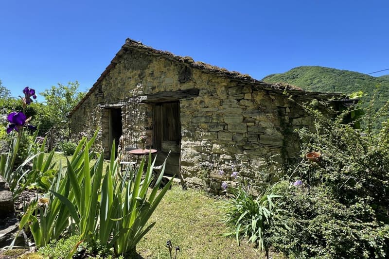 RÊVE DE VIE TESSIN - Charmante maison de village rénovée avec grand atelier idéal pour l'art et la culture et le B&B (8)