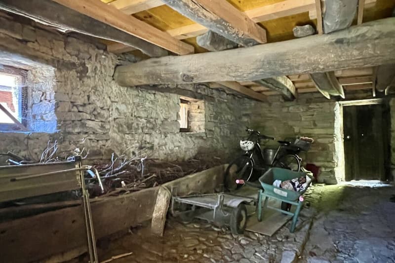RÊVE DE VIE TESSIN - Charmante maison de village rénovée avec grand atelier idéal pour l'art et la culture et le B&B (68)