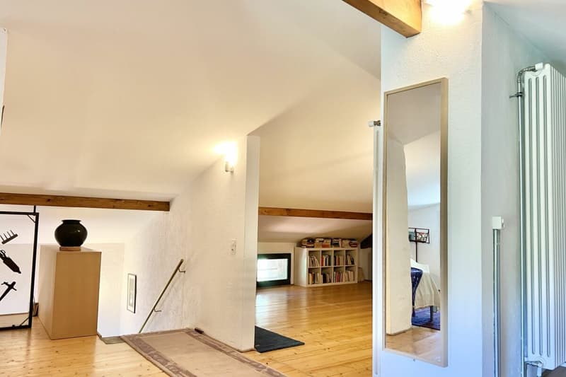 RÊVE DE VIE TESSIN - Charmante maison de village rénovée avec grand atelier idéal pour l'art et la culture et le B&B (60)