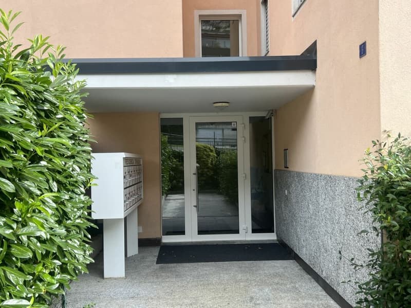 Grosszügige 4,5 Zimmerwohnung mit Balkon in toller Ruhelage von Minusio (19)