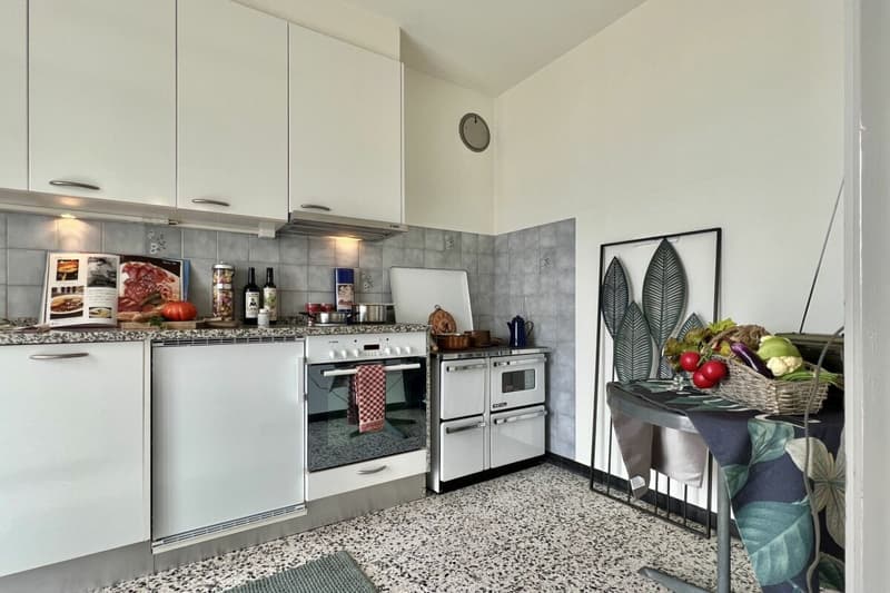 Appartamento 4,5 camere ?con vista lago 180°, ampia terrazza soleggiata e giardino privato (6)