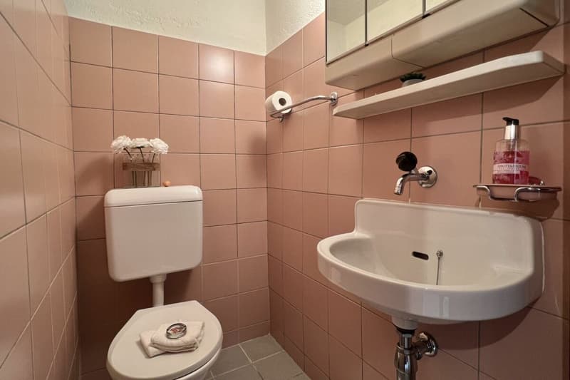 Appartamento 4,5 camere ?con vista lago 180°, ampia terrazza soleggiata e giardino privato (28)