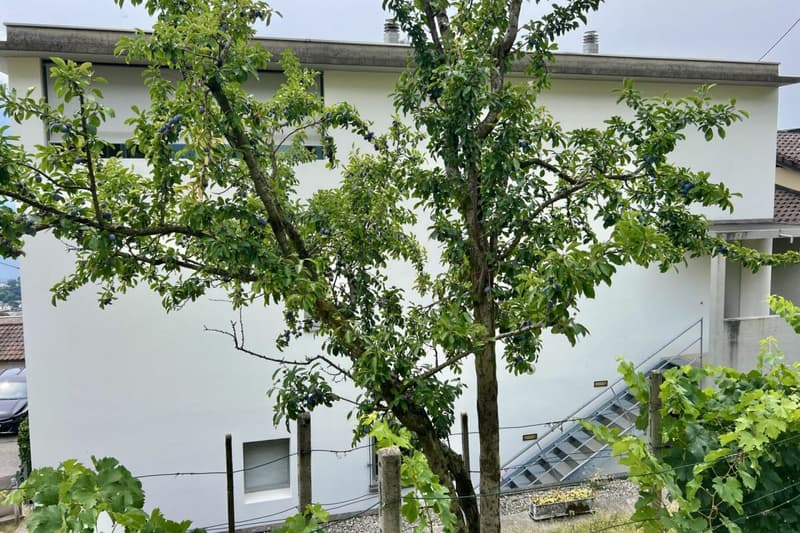 Appartamento 4,5 camere ?con vista lago 180°, ampia terrazza soleggiata e giardino privato (43)