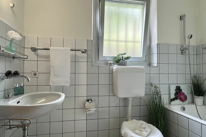 Appartamento 4,5 camere ?con vista lago 180°, ampia terrazza soleggiata e giardino privato (19)