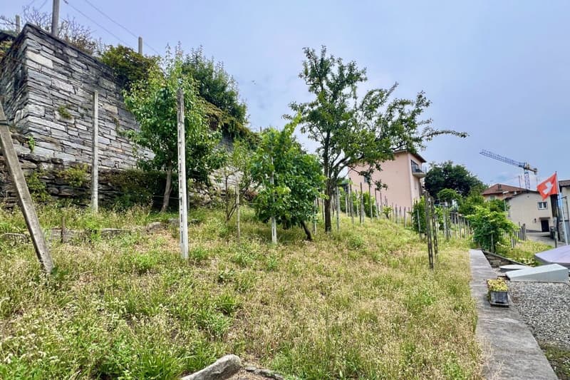 Appartamento 4,5 camere ?con vista lago 180°, ampia terrazza soleggiata e giardino privato (41)