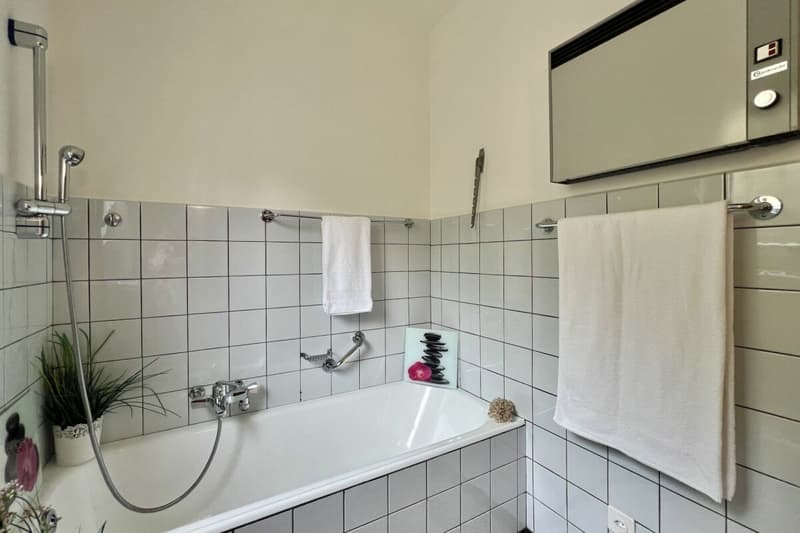 Appartamento 4,5 camere ?con vista lago 180°, ampia terrazza soleggiata e giardino privato (20)