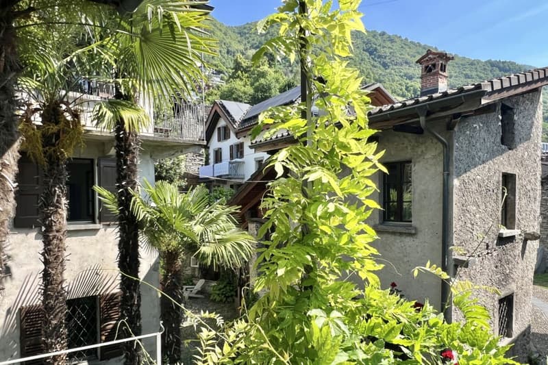 LIEBHABEROBJEKT... Casa al Torchio - Modernes Wohnen in historischen Mauern einer alten Weinpresse (35)