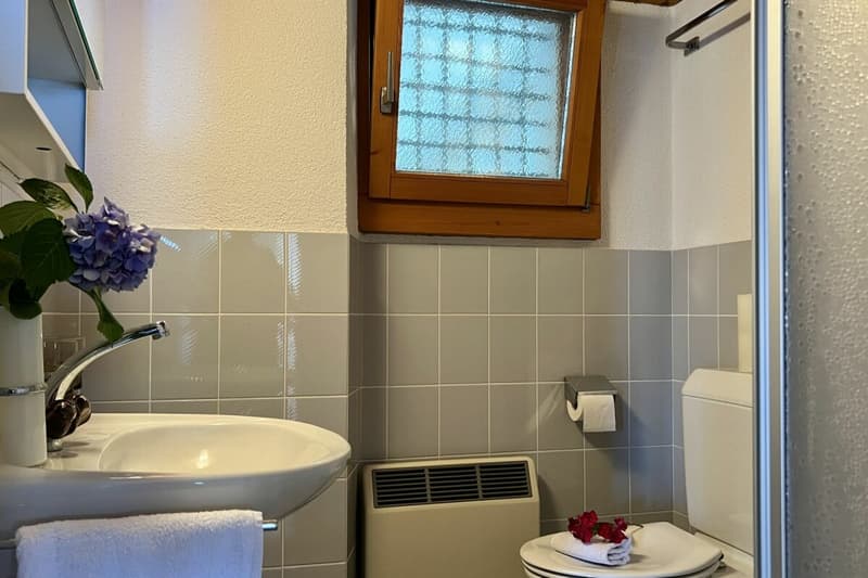 Charmantes Dorfhaus in schöner Ruhelage Casa Blu - «Das unvollendete Bijou» (30)