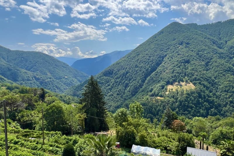 "Architektur trifft Natur" - Modernes Wohnen im Valle Onsernone mit herrlicher Aussicht - Bestzustand / Erstwohnsitz (4)