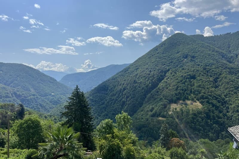 "Architektur trifft Natur" - Modernes Wohnen im Valle Onsernone mit herrlicher Aussicht - Bestzustand / Erstwohnsitz (20)