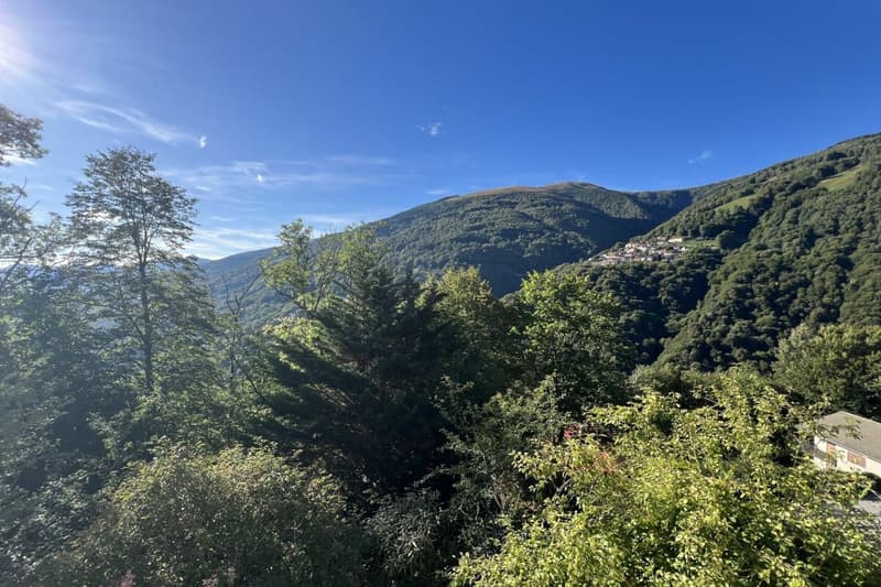Wohnen im Grünen - Einfamilienhaus mit herrlicher Aussicht und viel Gestaltungspotenzial (5)