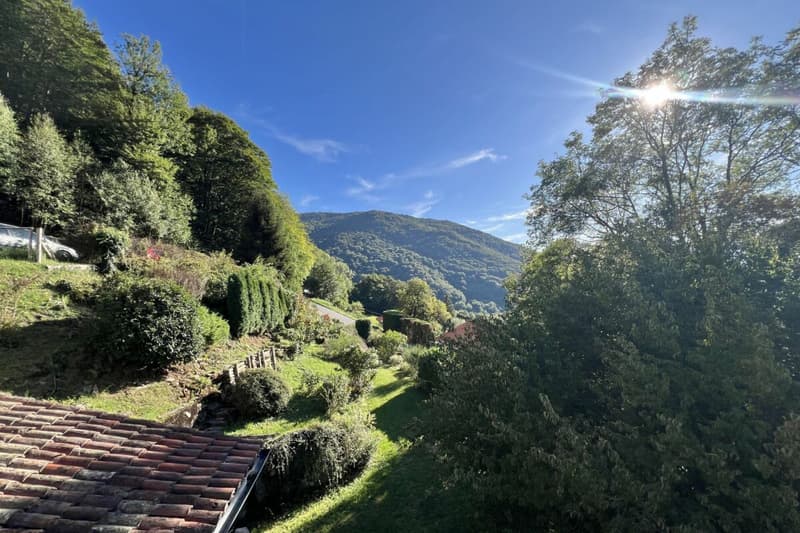Wohnen im Grünen - Einfamilienhaus mit herrlicher Aussicht und viel Gestaltungspotenzial (10)