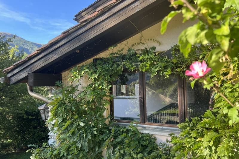 Wohnen im Grünen - Einfamilienhaus mit herrlicher Aussicht und viel Gestaltungspotenzial (11)