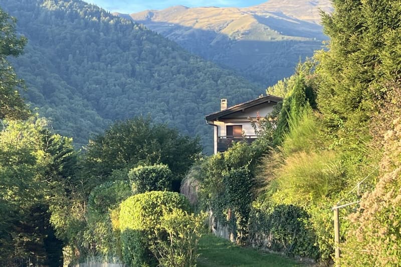 Wohnen im Grünen - Einfamilienhaus mit herrlicher Aussicht und viel Gestaltungspotenzial (28)