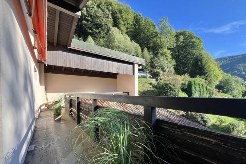 Wohnen im Grünen - Einfamilienhaus mit herrlicher Aussicht und viel Gestaltungspotenzial (9)