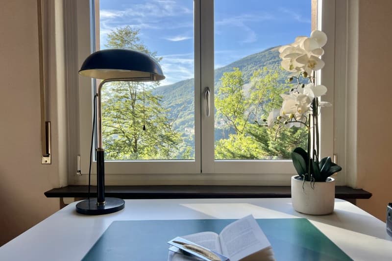Wohnen im Grünen - Einfamilienhaus mit herrlicher Aussicht und viel Gestaltungspotenzial (7)