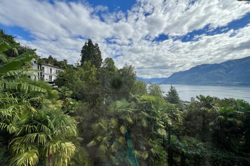 Exklusive "Frank-Villa" mit Gästehaus, Swimmingpool und weitläufigem Grundstück (44)