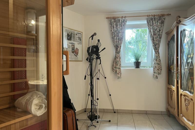 Exklusive "Frank-Villa" mit Gästehaus, Swimmingpool und weitläufigem Grundstück (32)