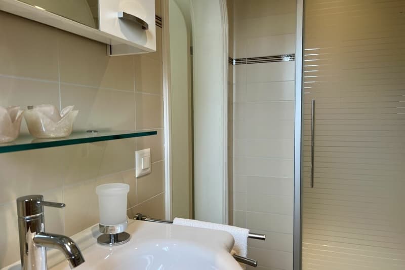 Exklusive "Frank-Villa" mit Gästehaus, Swimmingpool und weitläufigem Grundstück (23)