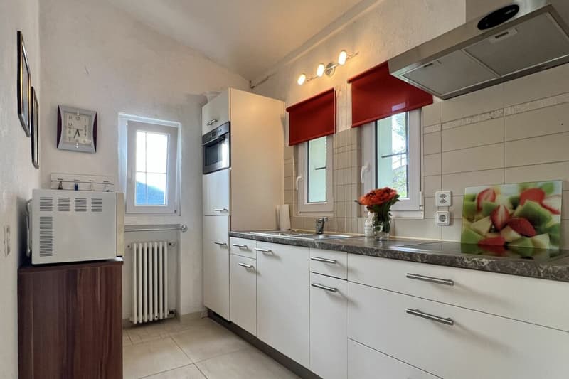 Exklusive "Frank-Villa" mit Gästehaus, Swimmingpool und weitläufigem Grundstück (42)