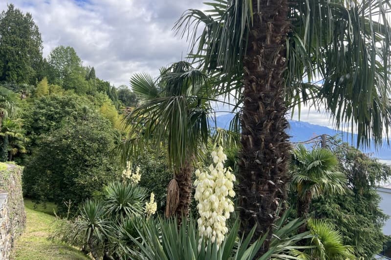 Exklusive "Frank-Villa" mit Gästehaus, Swimmingpool und weitläufigem Grundstück (27)
