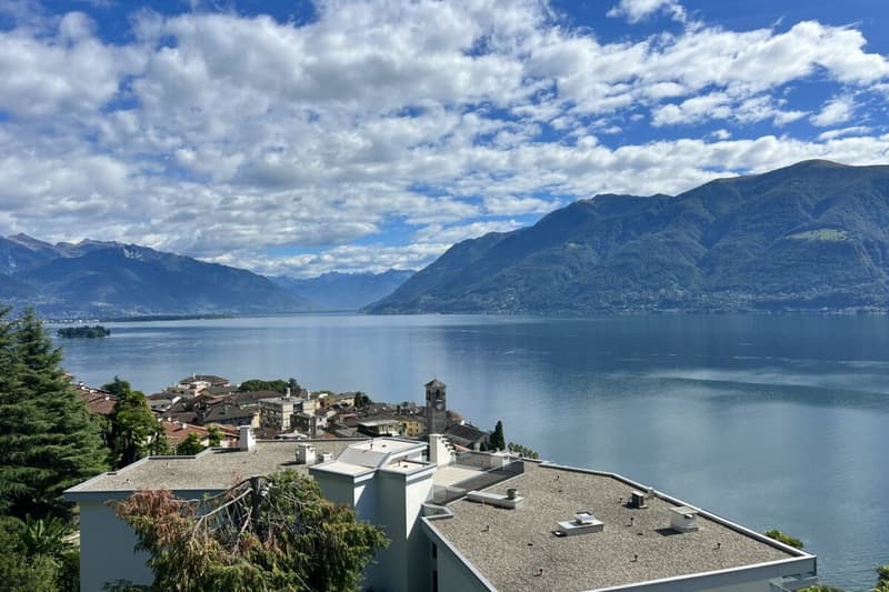 Exklusive "Frank-Villa" mit Gästehaus, Swimmingpool und weitläufigem Grundstück (19)
