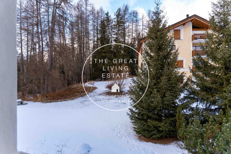 Affascinante appartamento di 3,5 locali a Pontresina (12)