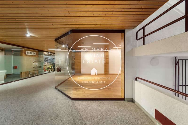 Modern interior, open space, glass wall, wooden flooring, decorative light