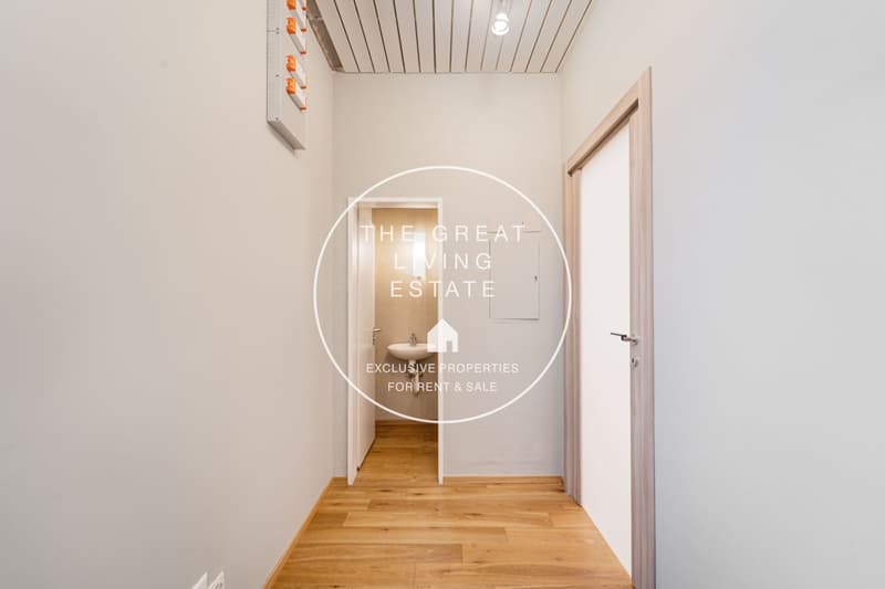 A corridor leading to rooms, white walls, wooden floor, modern decor, a small sink in a doorway.