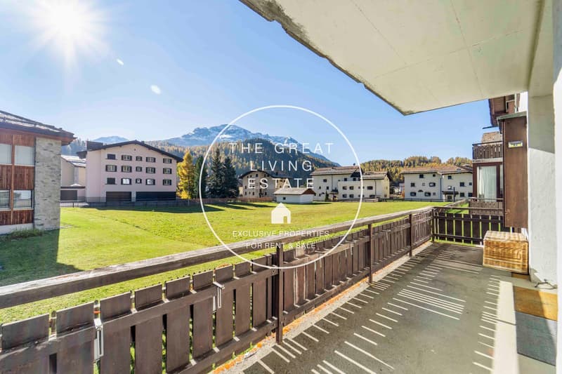 Wooden railings, sunny, wide view, green meadow, mountains in the background