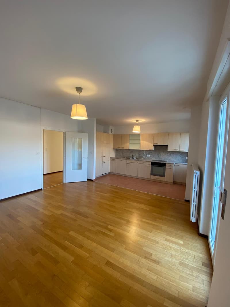 Empty room, wooden floor, modern cabinets, light fixtures, kitchen, white walls