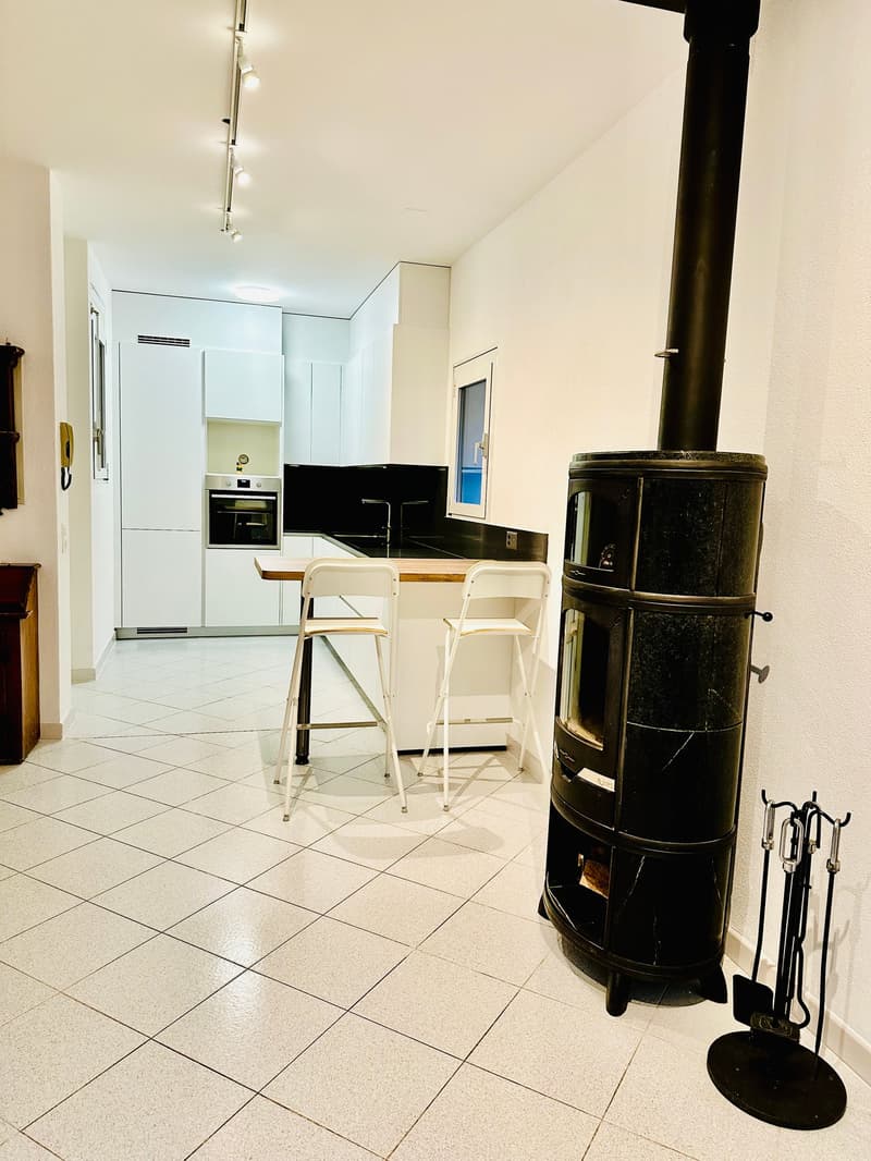 Faszinierendes duplexes Einfamilienhaus mit 2 Zimmern, Garten und Pauschalspesen (5)