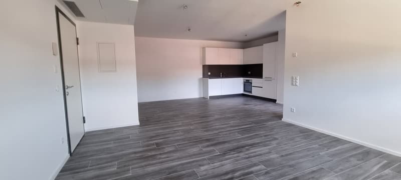 Bright Apartment with Double Service (4)