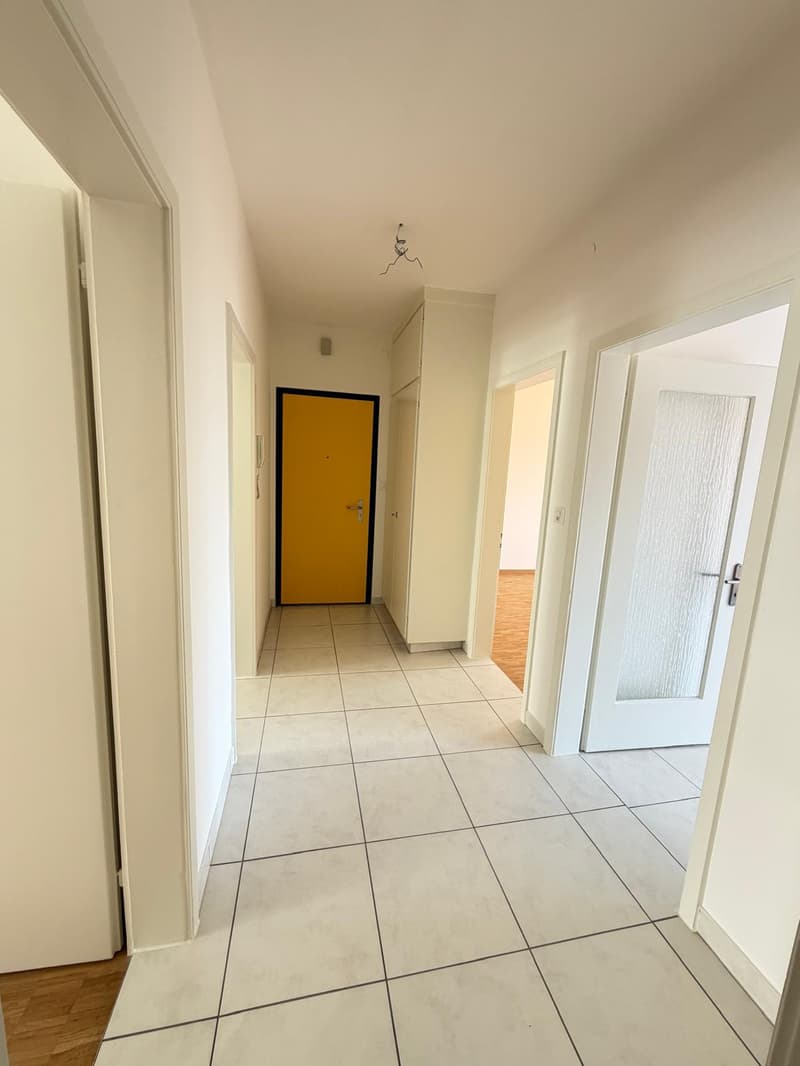 Appartamento con balcone e vista sulle montagne (7)