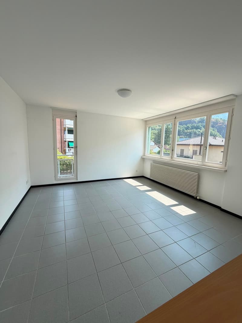 Helles und geräumiges Appartement (6)