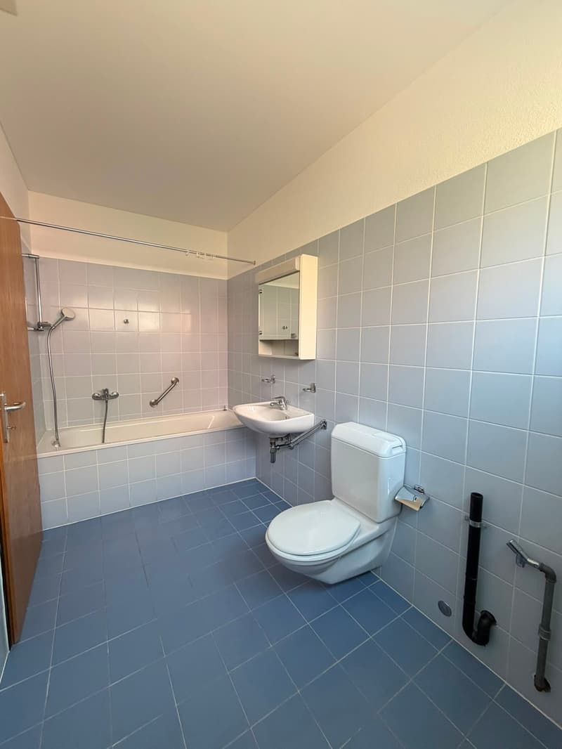 Helles und geräumiges Appartement (9)