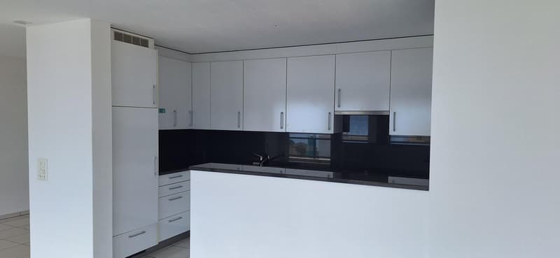 Modern kitchen with white cabinets, black countertops, and built-in appliances including a dishwasher