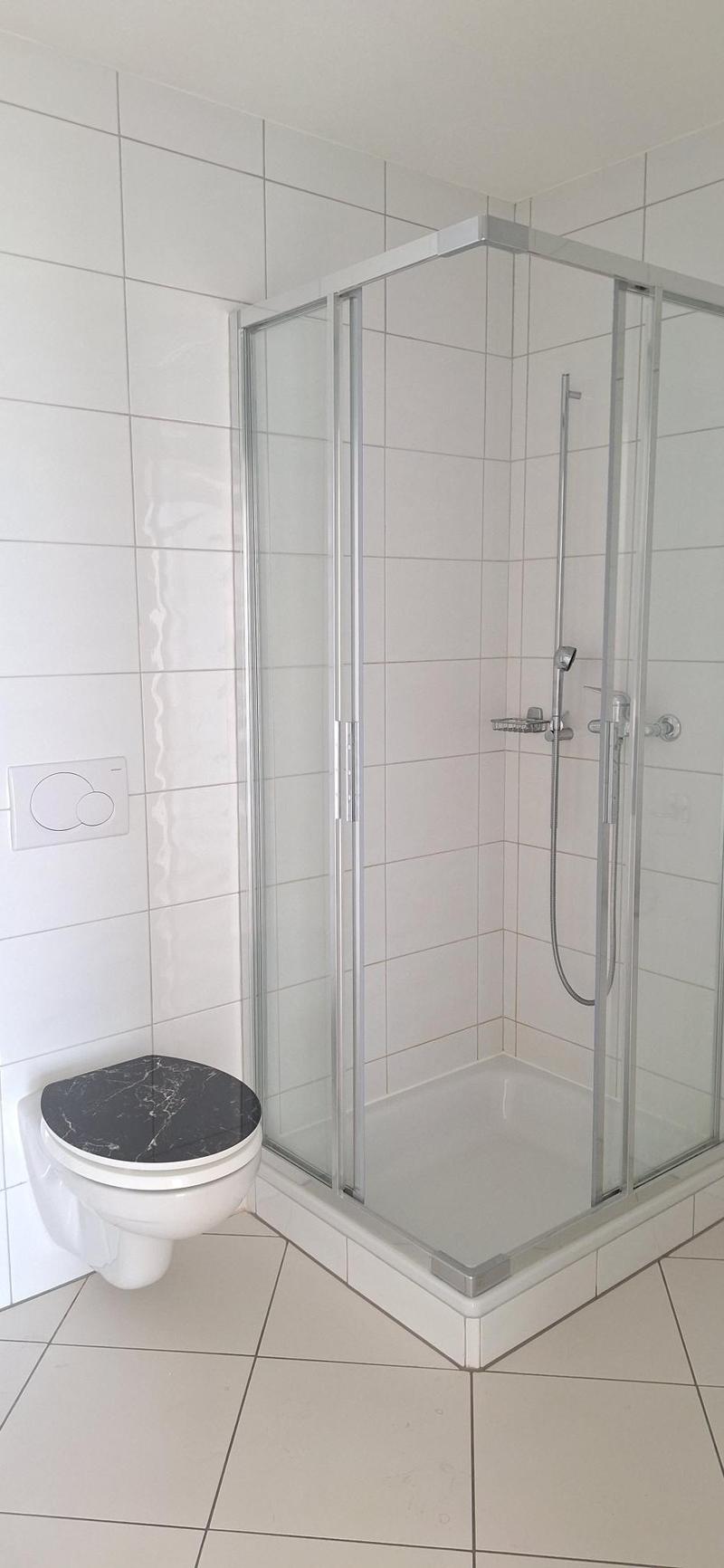 The image shows a modern bathroom with a glass shower enclosure, a white toilet, and a black marble-like countertop. The walls are tiled in a light color, and the floor is also tiled.