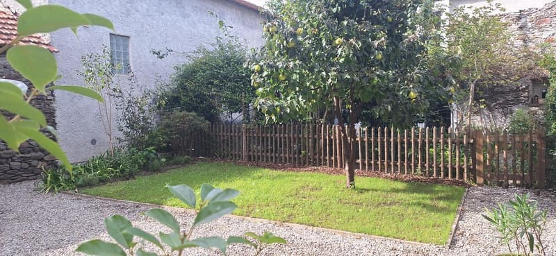 Gravel pathway, grassy area, wooden fence, small plants, stone wall, tree with fruits