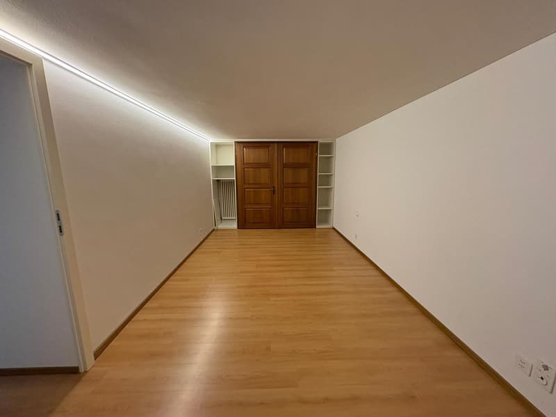 Empty hallway with hardwood floors, wooden double doors leading to a closet, white walls, white shelves with radiator on the left side.