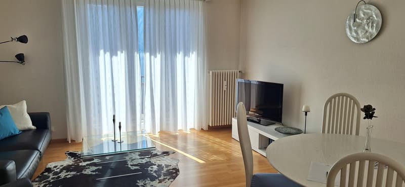 Orselina -  app. 3.5 locali ristrutturato con vista / renovierte 3,5-Zi.-Whg. mit Aussicht (2)