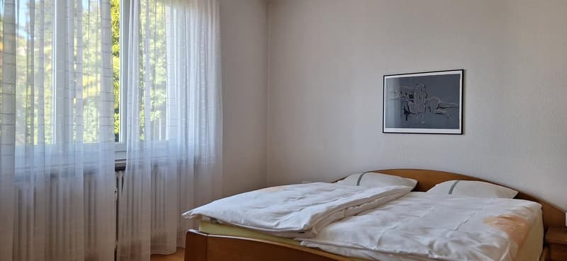 Orselina -  app. 3.5 locali ristrutturato con vista / renovierte 3,5-Zi.-Whg. mit Aussicht (9)