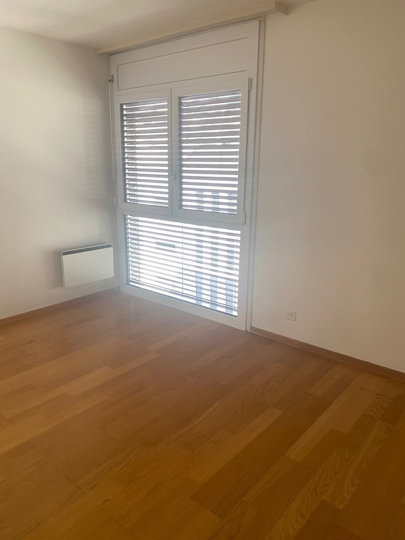 Appartamento 3.5 locali in centro Locarno (10)