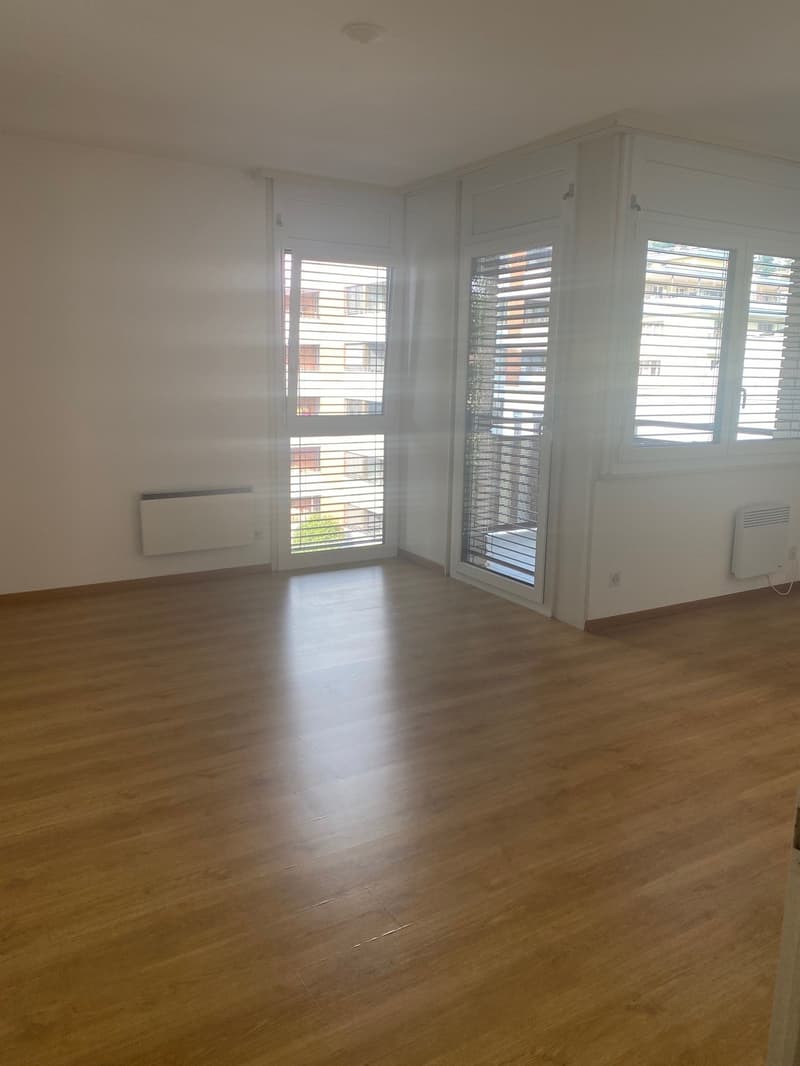 Appartamento 3.5 locali in centro Locarno (5)