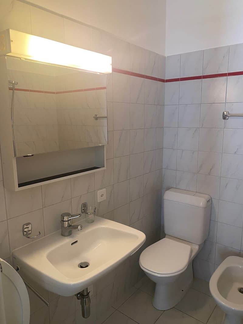 Appartamento 3.5 locali in centro Locarno (13)