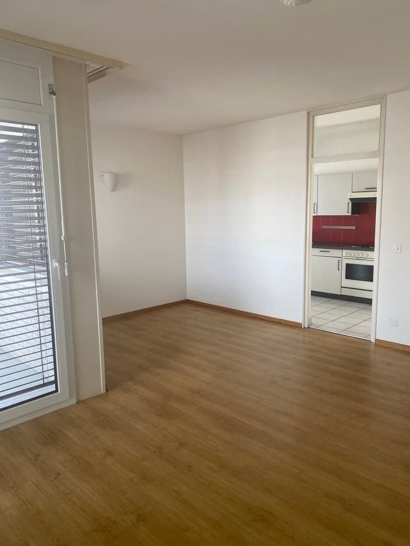 Appartamento 3.5 locali in centro Locarno (4)