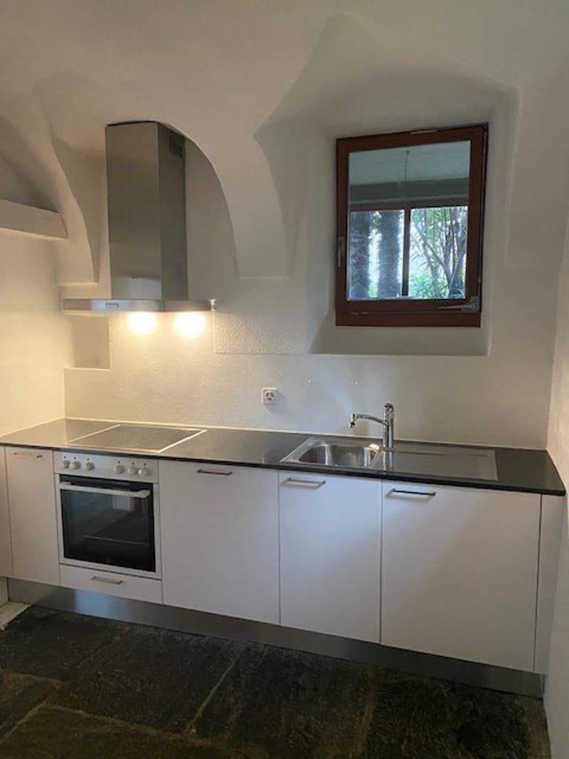 Affascinante appartamento in casa rustica (6)