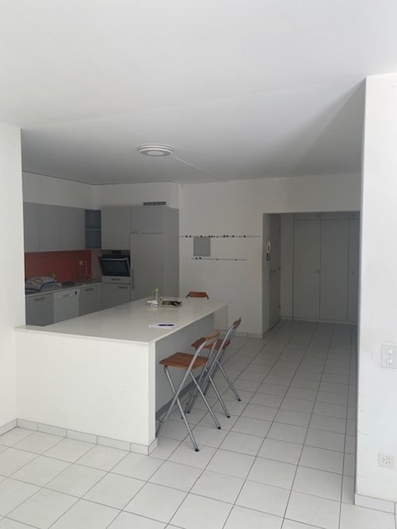 Luminoso appartamento di 3.5 locali a Muralto (6)